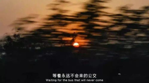 挽回婚姻失望文案生活,重燃爱火，再续前缘