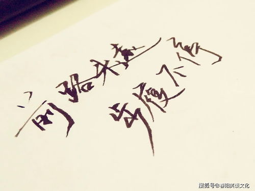 挽回的古文句子,昔日岁月能挽回，青春年华未可磨——重获青春，再度飞翔