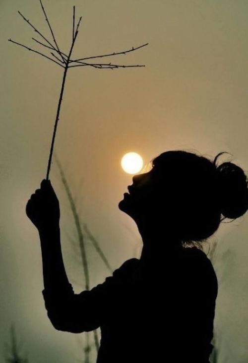 挽回友情的唯美句子,挽回友情的美丽语句