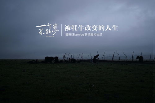 无法挽回的人生,无法逆转的人生抉择