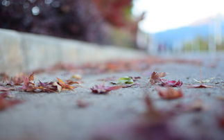 男朋友真心分手挽回,挽回男友真心分手