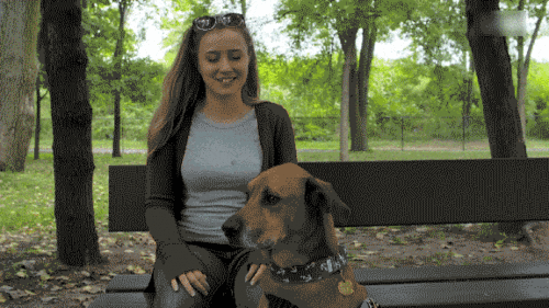 狗狗挽回前夫后悔了吗,狗狗是否挽回前夫的心？