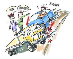 重症车辆损失如何挽回,重症车辆损失维权指南