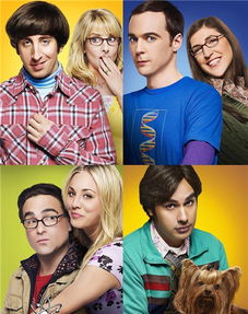 谢尔顿挽回艾米,谢尔顿成功挽回爱情