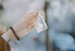 怎么用细节去挽回感情，如何用微小之举修补破碎的关系