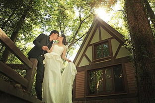 努力挽回爱情的词,如何挽回爱情