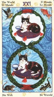 恋人挽回塔罗牌排阵,爱情复合