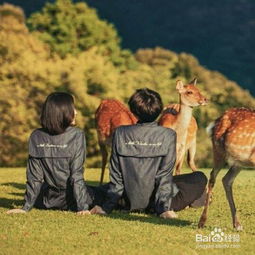 挽回双子男人的方法,挽回双子座男生的技巧