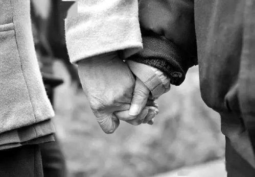 爱情变质了怎么挽回，感情出现裂痕，挽回的正确方法