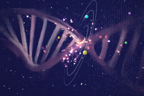 如何挽回射手星座,如何让射手座心甘情愿地回到你的身边？