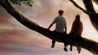 最好的情感挽回节目，寻回真心：让感情重燃的秘密