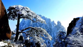 黄山爱情挽回专家热线,黄山爱情挽回热线