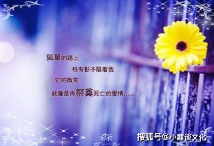 情感复合挽回文案长篇,哪怕遗忘故事，也要挽回你的爱情