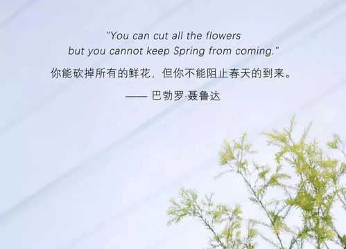 挽回相信对象的诗句,挽回信任：以诗句为笔，撰写心意