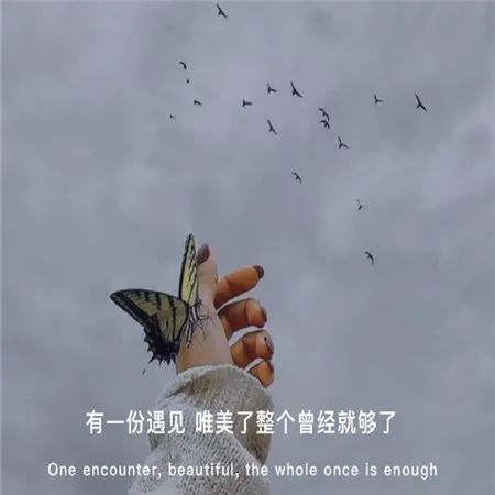 错过的人就不要试图挽回，错过的机会，即便再努力也已无法挽回