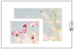 异地婚姻怎么才能挽回,挽回异地婚姻的方法