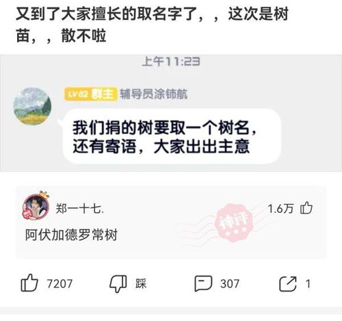 能用礼物挽回前任吗,礼物能否挽回前任？重新思考方案)