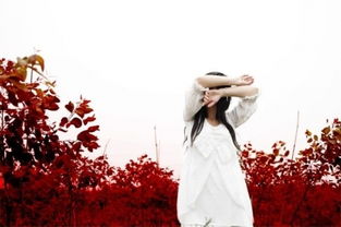 挽回感情的感动图片,感人画面：用真情挽回爱情