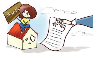 电话挽回已经诉讼的媳妇，如何用电话消除与媳妇间的诉讼纠纷？