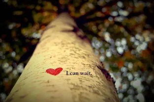 成果的不可挽回特点，失去的果实：成果离散的不归路