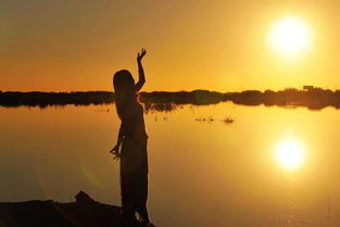 热爱自由的人怎么挽回,挽回行动：追逐自由的心