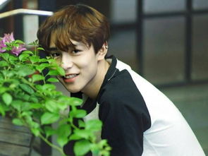 挽回女友的浪漫场景,挽回爱情，重现热恋幸福