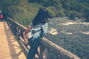 成功挽回爱情的经历,成功挽回爱情的故事