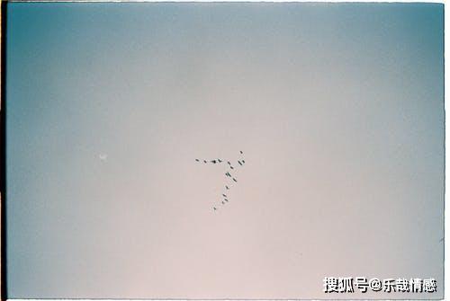 挽回失恋的最佳方案,挽回失恋，最好的方案！