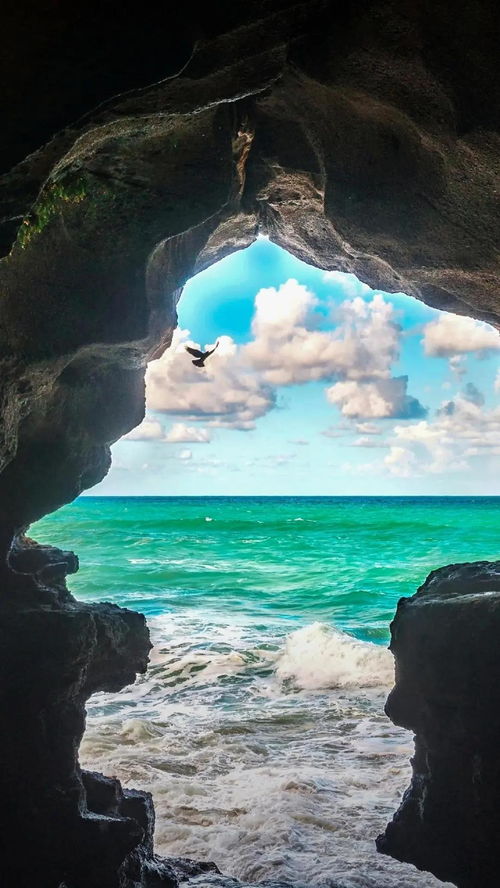 挽回情感视频去水印,心动暖流涌，温暖后挽回