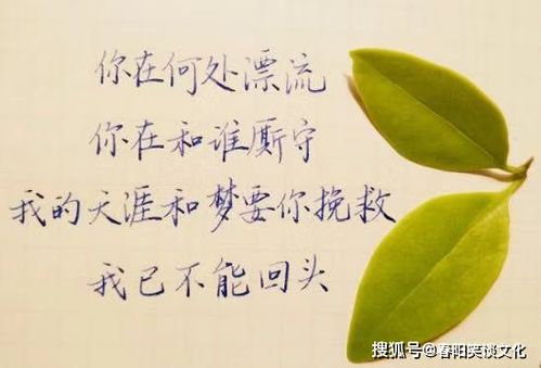 爱情挽回语录文案,感人的爱情挽回语录，让爱回到你身边