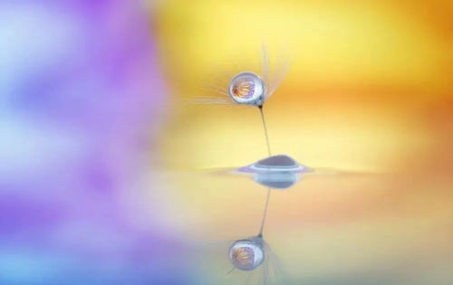 天蝎座挽回金牛,如何让金牛座重新爱上天蝎座