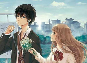 处女男冷战怎么挽回,怎样挽救处女座男生的冷战？