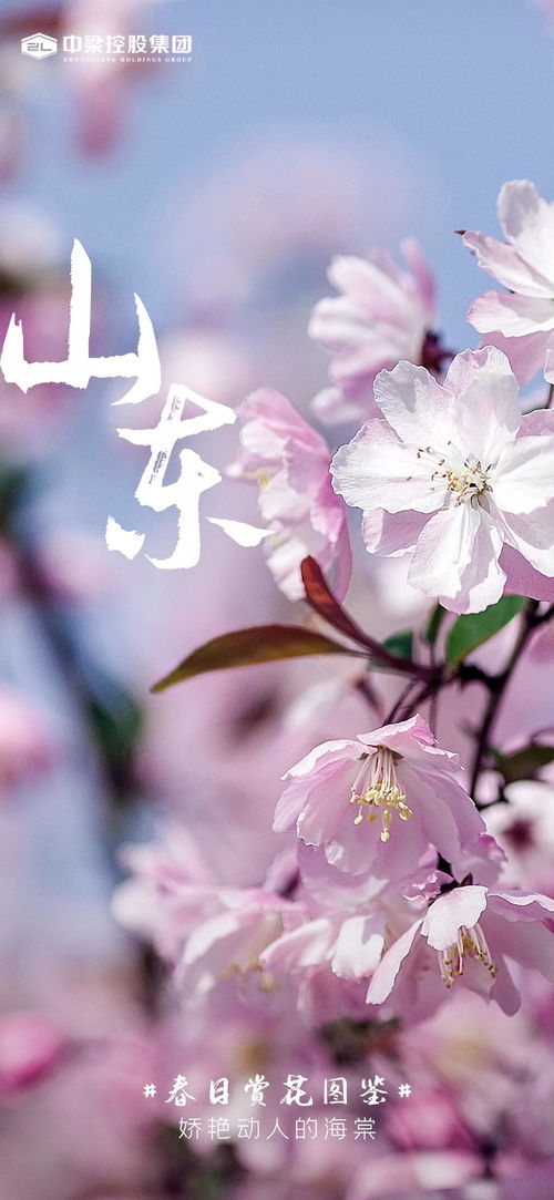 相约春天挽回情感案例,春日挽回爱情，感情案例分享