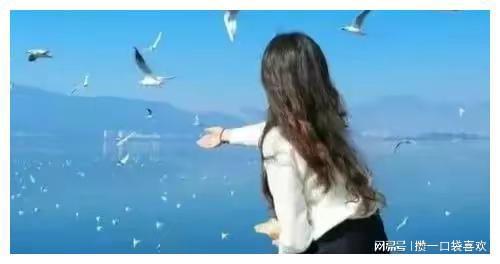 婚姻挽回隐喻是什么,如何重新点燃婚姻的爱情之火？