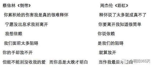 彩虹情感挽回公司资质，彩虹心声：让挽回爱情成为可能