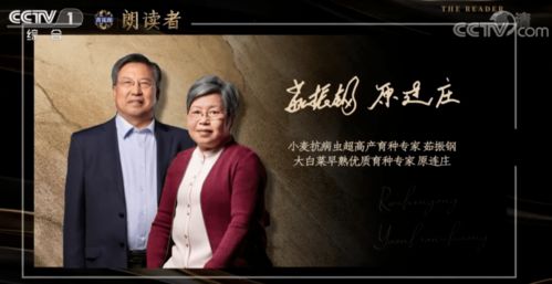 菏泽爱情挽回专家咨询,菏泽爱情挽回专家咨询：找回失去的爱