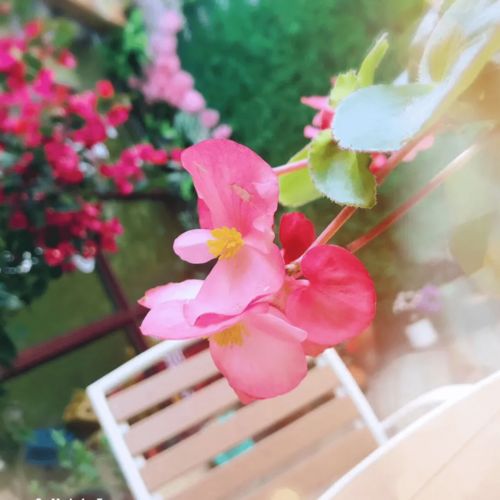 找挽回机构花了7000，如何成功挽回感情？挽回机构7000元教你拯救爱情