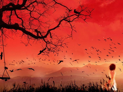 过去无法挽回壁纸,挽回已失壁纸，此生不欲再悔。