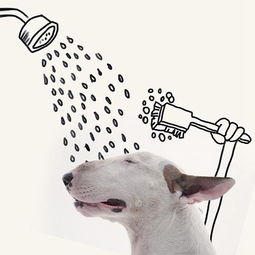 怎么挽回属狗巨蟹男,如何挽回属狗巨蟹男？40字以内新标题：狗蟹复合指南