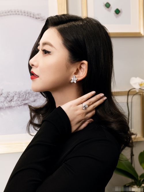 挽回女明星的名声,女明星名誉恢复计划