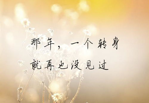 挽回的句子正能量,一起重新开始，重获幸福