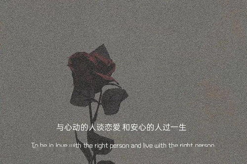 有些遗憾可以挽回吗,遗憾有解，还能挽回吗？