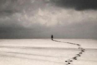 四十天挽回的经历,四十天成功挽回爱情