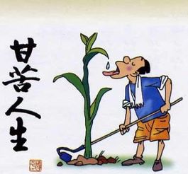 情感木桶效应如何挽回,教你从情感低谷中走出，打造情感木桶效应