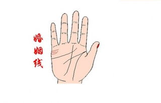 经历绝望挽回生命,绝望中寻找生命线