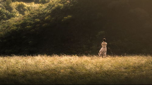 梦中自己总是无力挽回,无法挽回的梦境