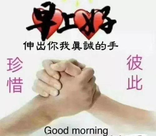 撒谎骗朋友怎么挽回,如何用真心和诚意挽回撒谎骗朋友的自己