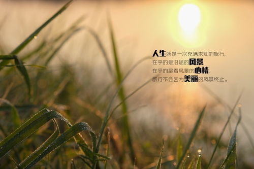 怎么挽回情人的爱情,如何挽回失去的爱情