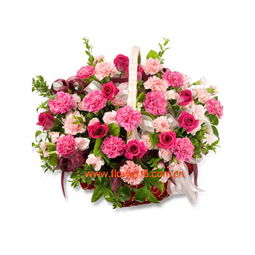 花语是挽回的花,用花语挽回深情，抚平伤痛