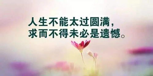 挽回前夫句子图片搞笑,土豆泥挽回帅G